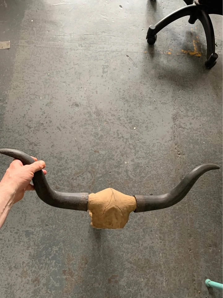 Fake bull skull - photo 5