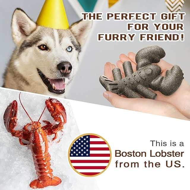 Boston Lobster Dog Teeth Chewing Toy - NEW - photo 5