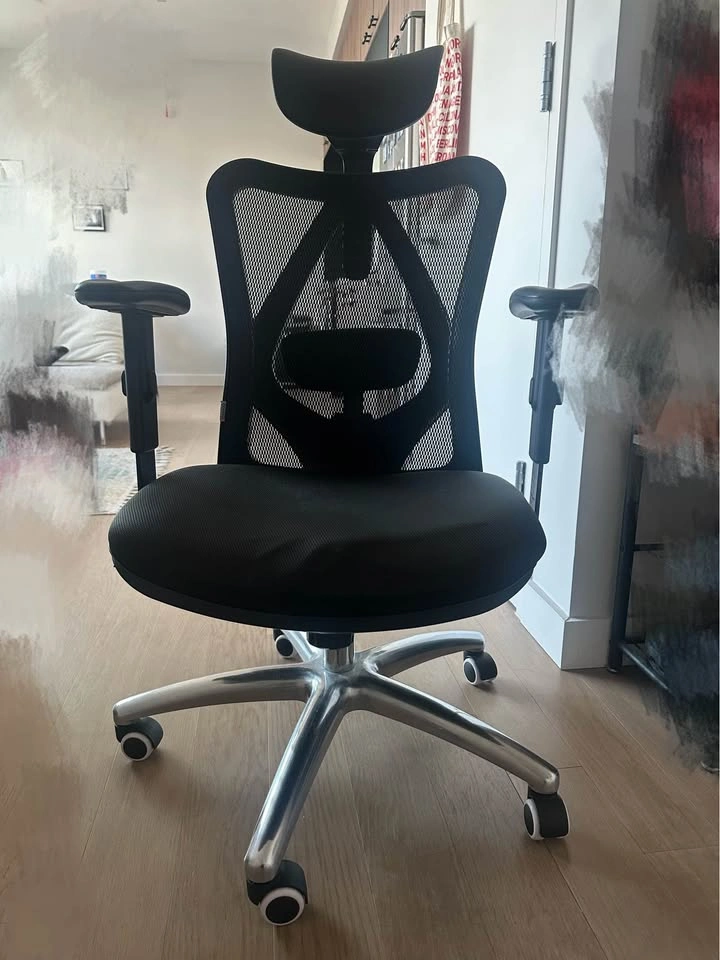 SIHOO ergonomic chair M18 - photo 2