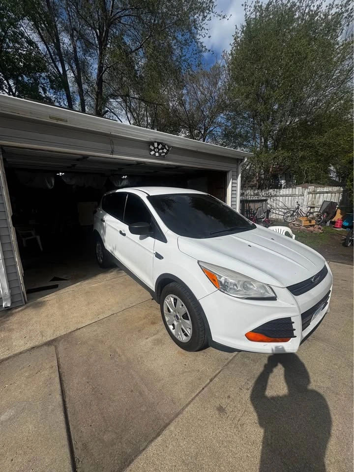 Polarizados Window Tint - photo 5