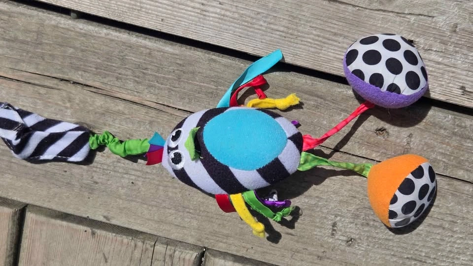 Baby Toys: Bright Starts Elephant Teether, Sassy Birdie, Vintage - photo 4