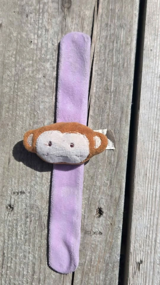 Baby Toys: Bright Starts Elephant Teether, Sassy Birdie, Vintage - photo 5