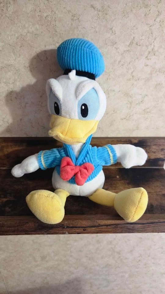 Mickey & Donald Duck 10" Beanbag Plush Toy with Book - photo 2