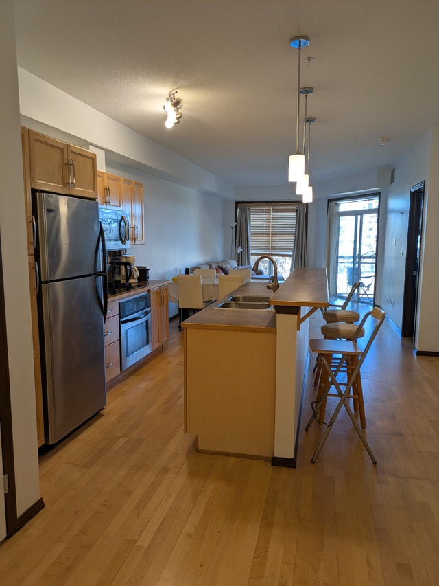 Furnished Room for Rent Downtown Edmonton - photo 2