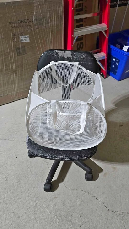 White small foldable basket