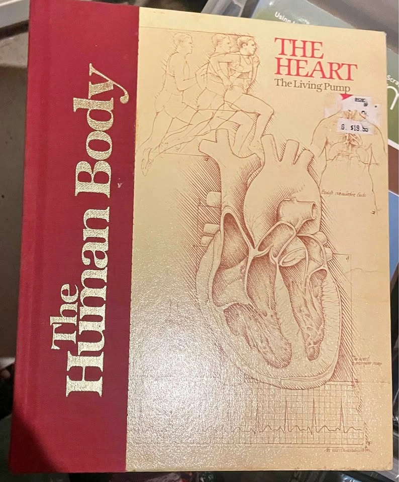 Book: The Human Body - The Heart
