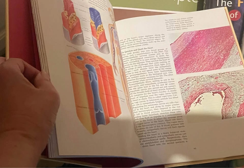 Book: The Human Body - The Heart - photo 2