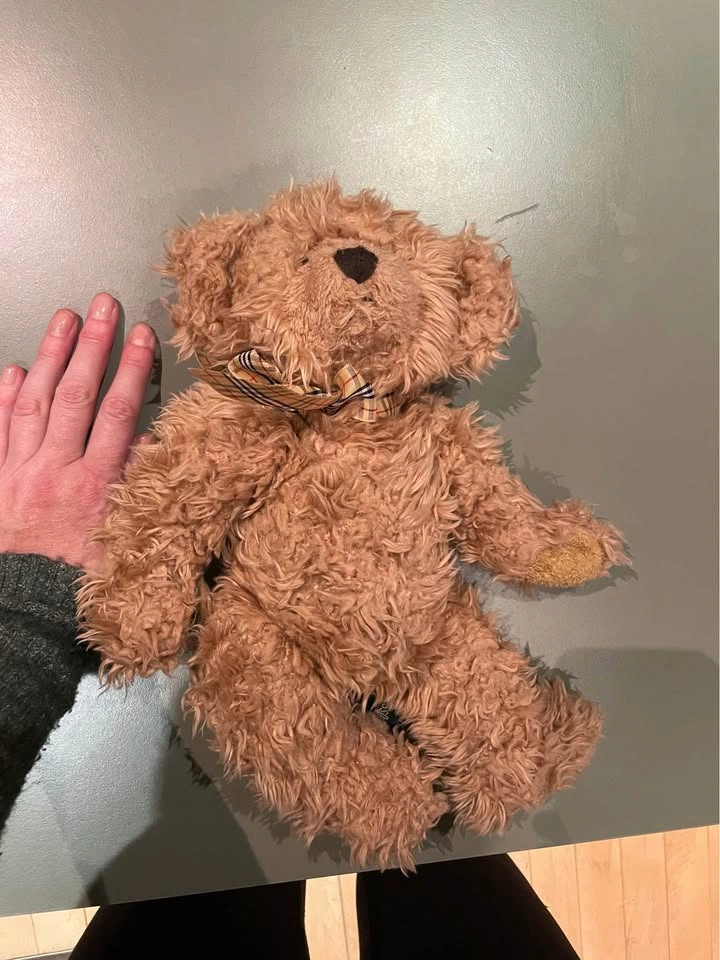 RUSS teddy bears 16“ Goldy $20 12“ Trevor $10 - photo 4