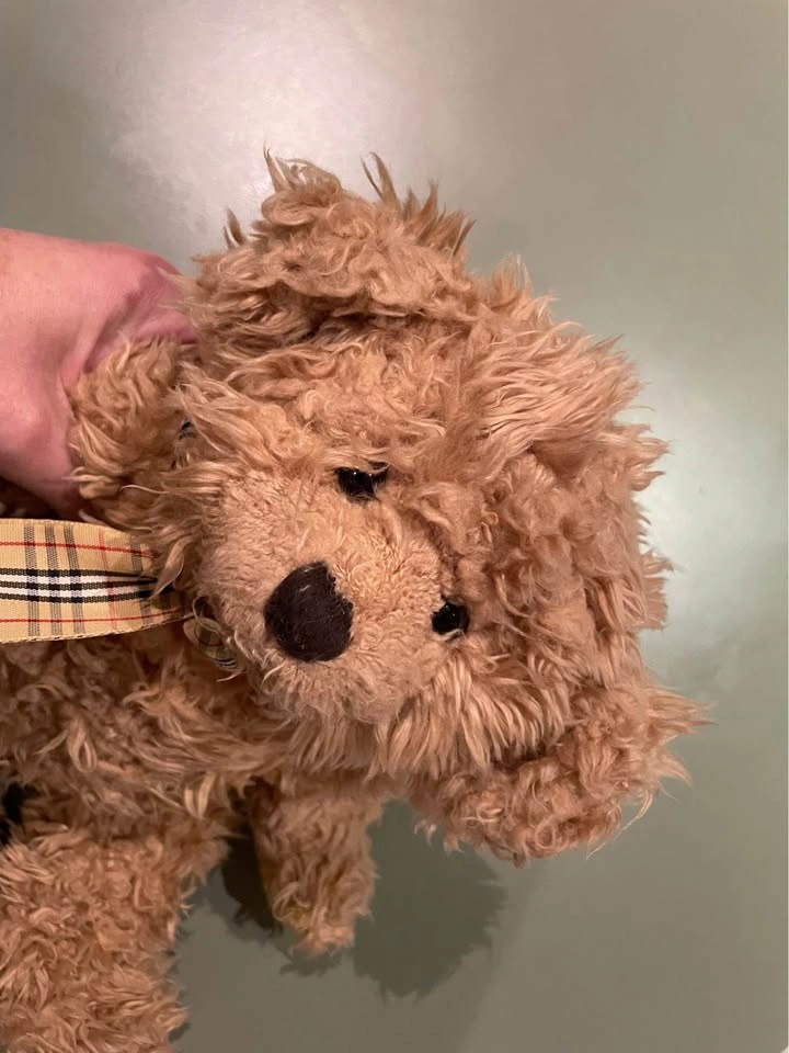 RUSS teddy bears 16“ Goldy $20 12“ Trevor $10 - photo 5