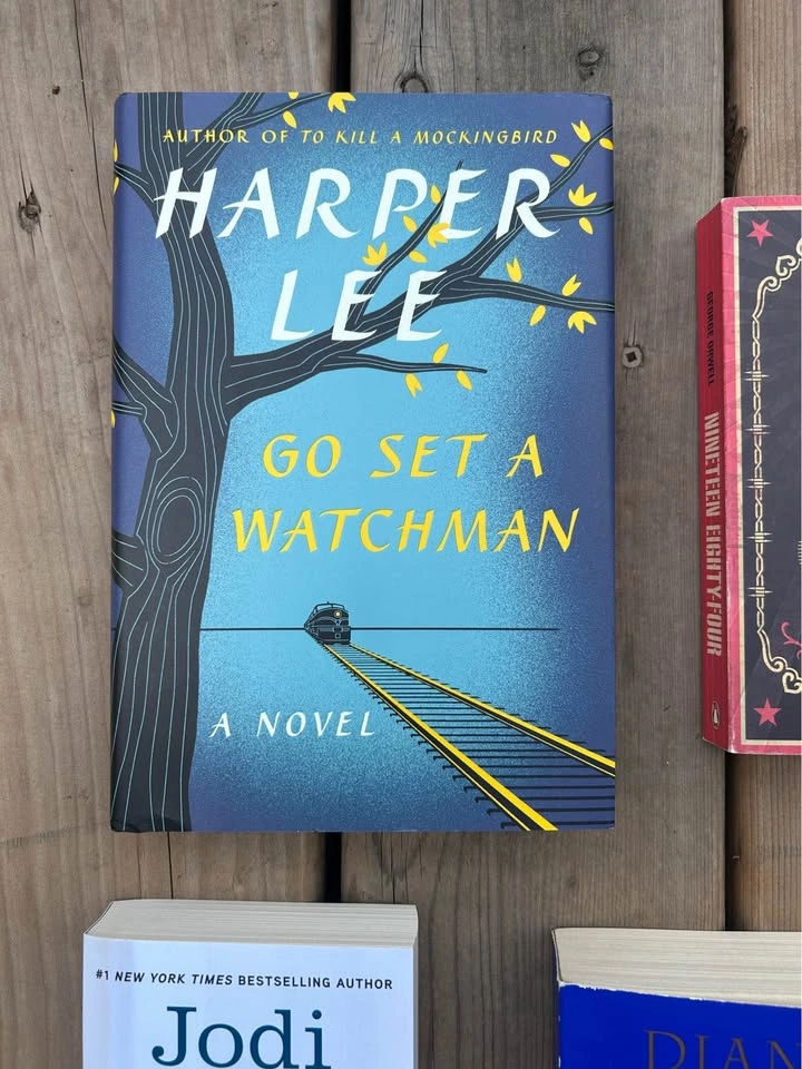 Assorted Books: Harper Lee, George Orwell, Ann Patchett, Jodi Pi - photo 2