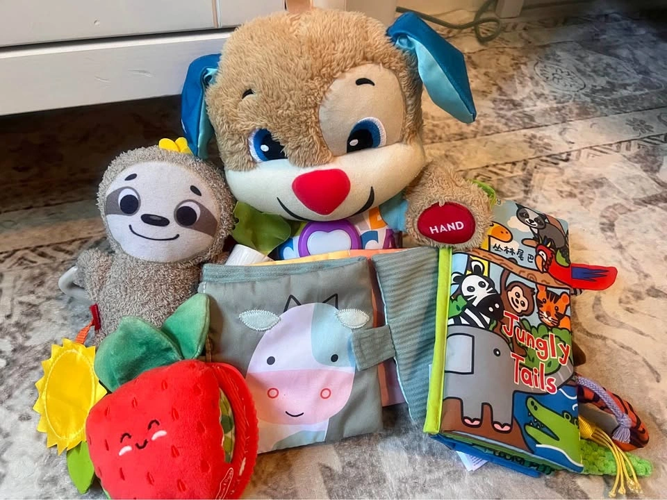 Assorted Baby Toys and Crinkle Books