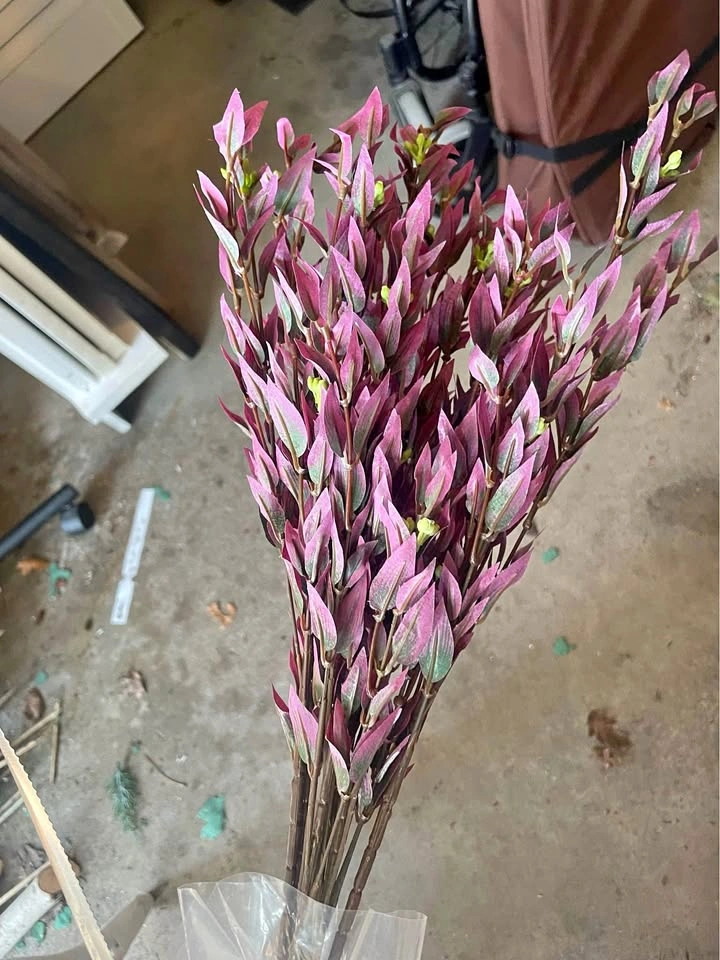 Dozens of new fake leaf decor $1 each