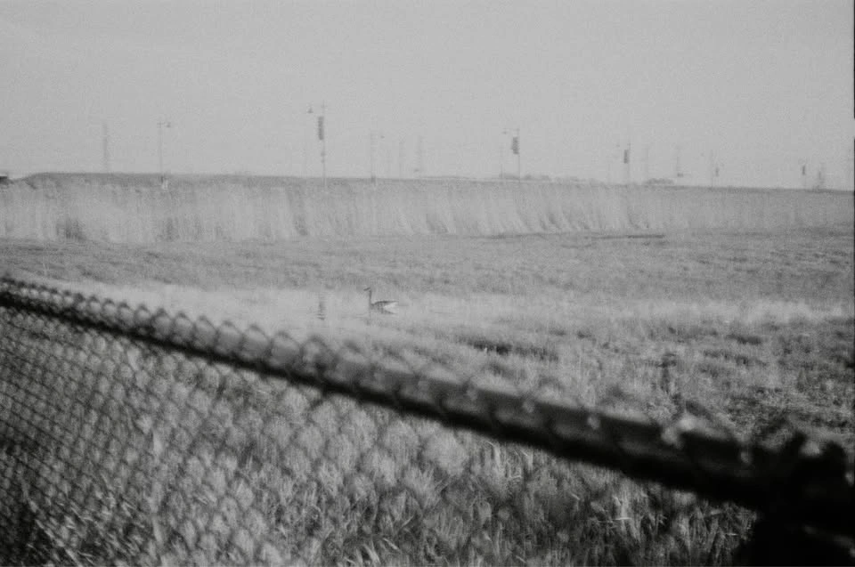 Konica C35 Film Camera - photo 4