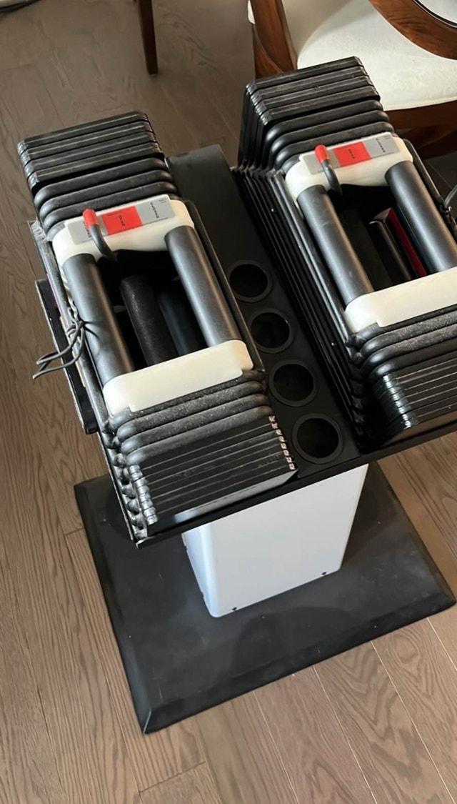 Powerblock 90 lb Adjustable Dumbbells with Stand
