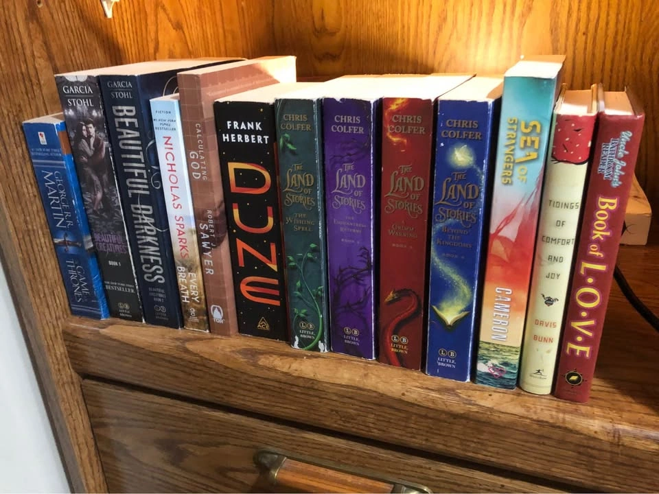 Moving! Large book lot to rehome! - photo 3
