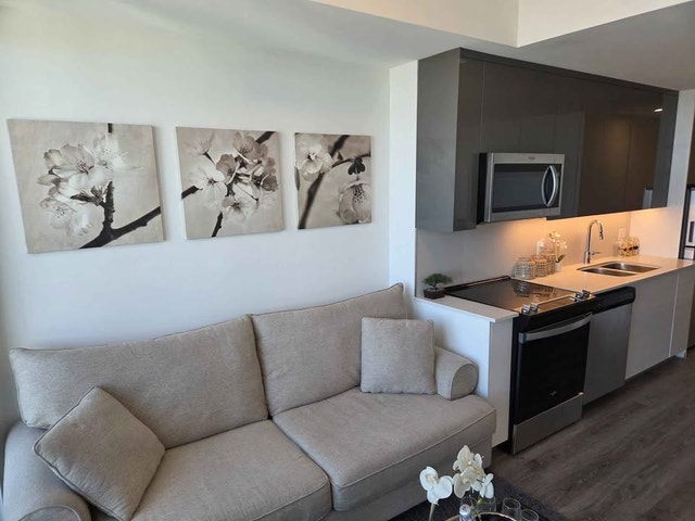 1 Bedroom Apartment for Rent in Downtown Kitchener - photo 4