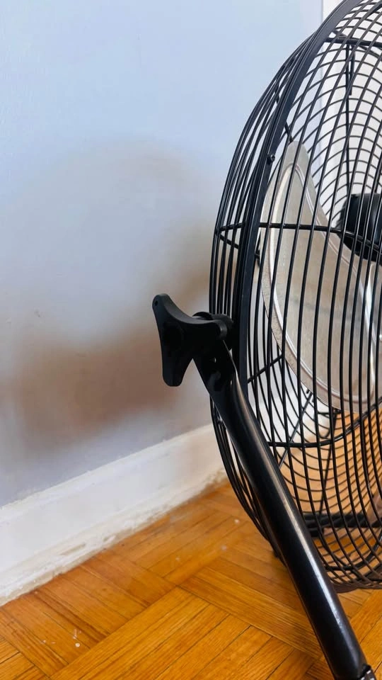 Commercial Electric High Velocity Fan – Powerful Industrial Cool - photo 3