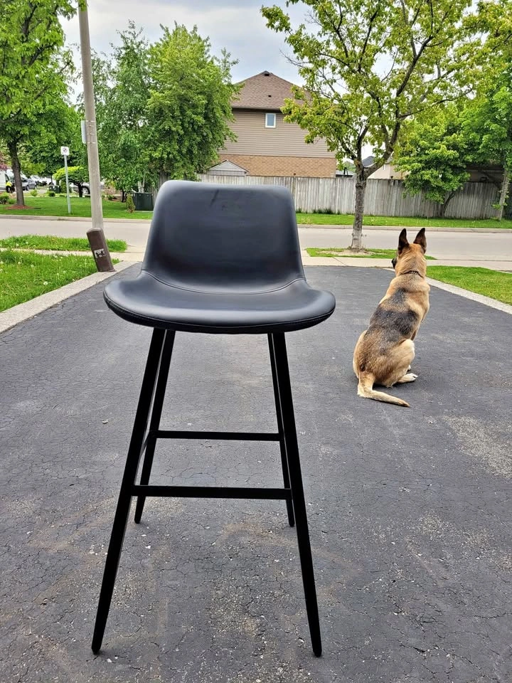 Modern Black Bar Stools - Set of 4 - 30" Seat Height