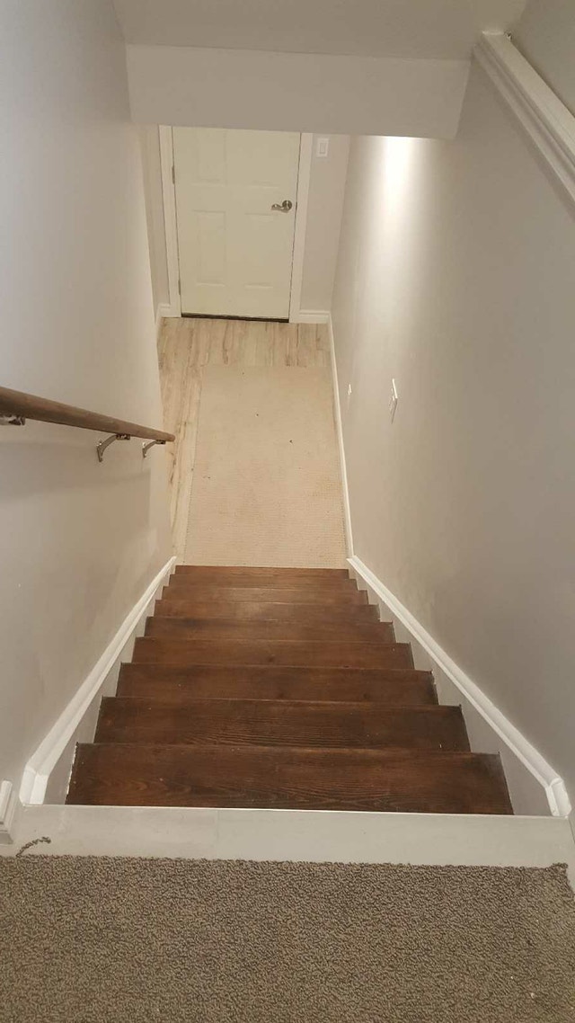 Basement Apartment for Rent - photo 5