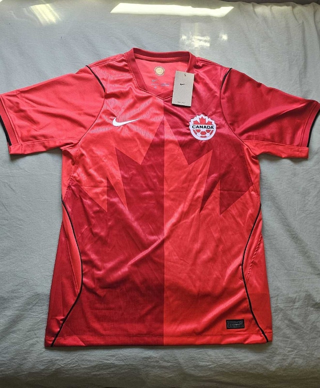 Argentina World Cup Jersey - photo 3