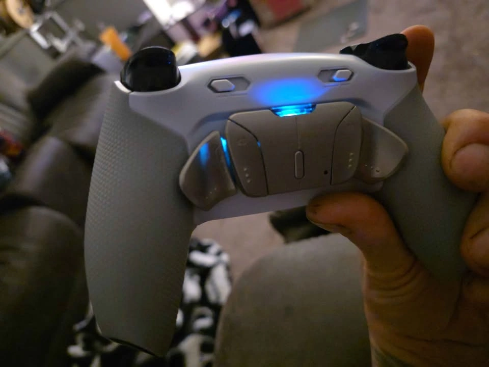 Custom PS5 Controller Builds - photo 2