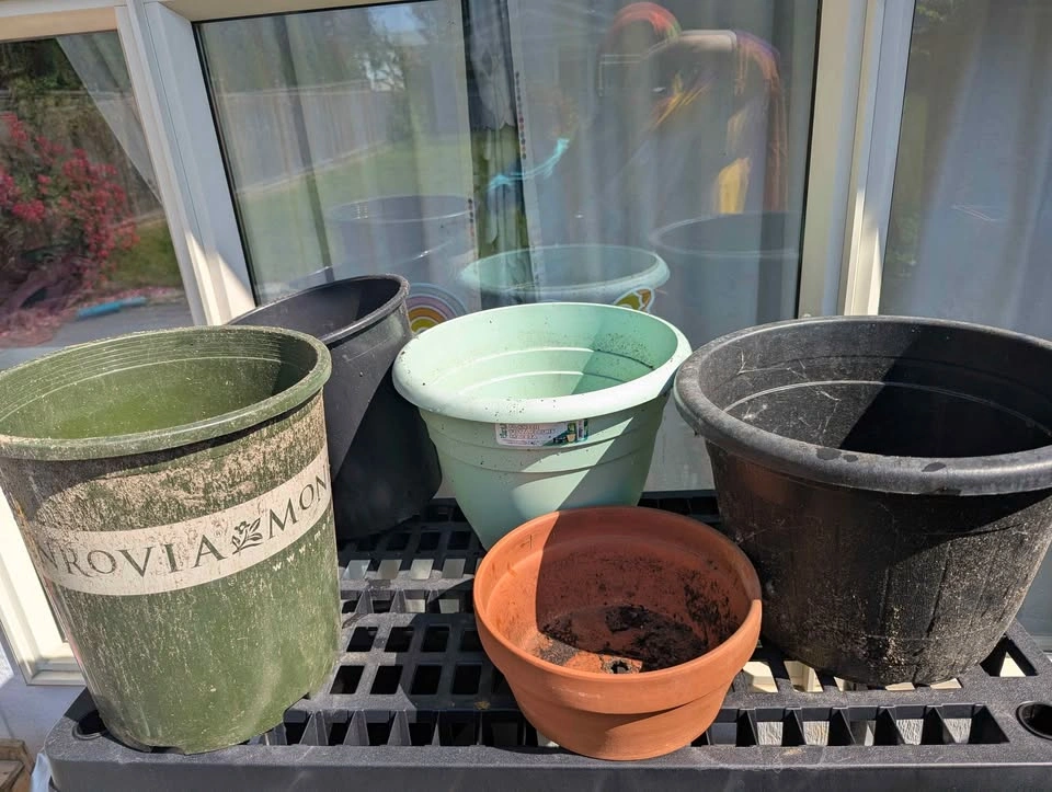 Plant Pots and Seed Starting Trays - photo 4