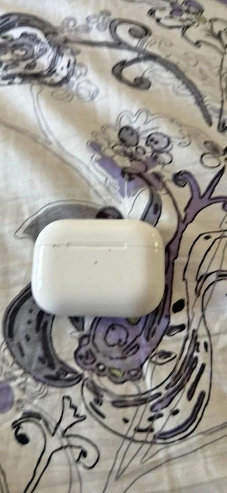 Apple AirPods Pro Charging Case & Right Earbud