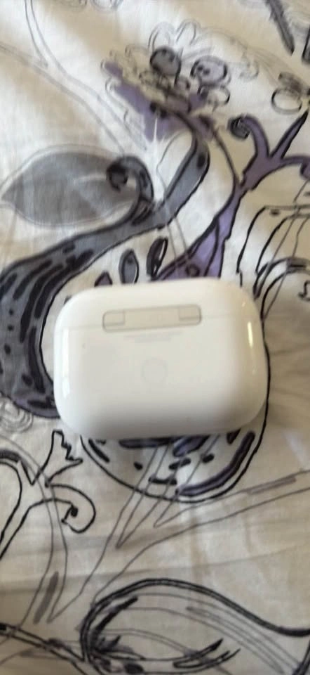 Apple AirPods Pro Charging Case & Right Earbud - photo 2