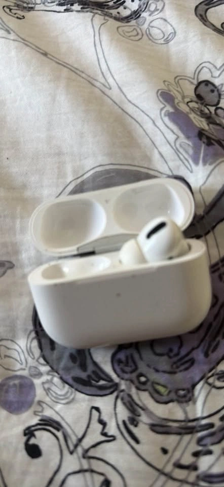Apple AirPods Pro Charging Case & Right Earbud - photo 3