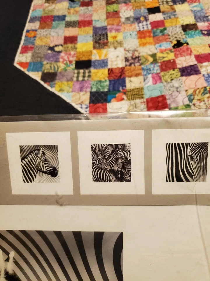 IKEA TRILLING Zebra Art Prints Set of 3 - photo 2
