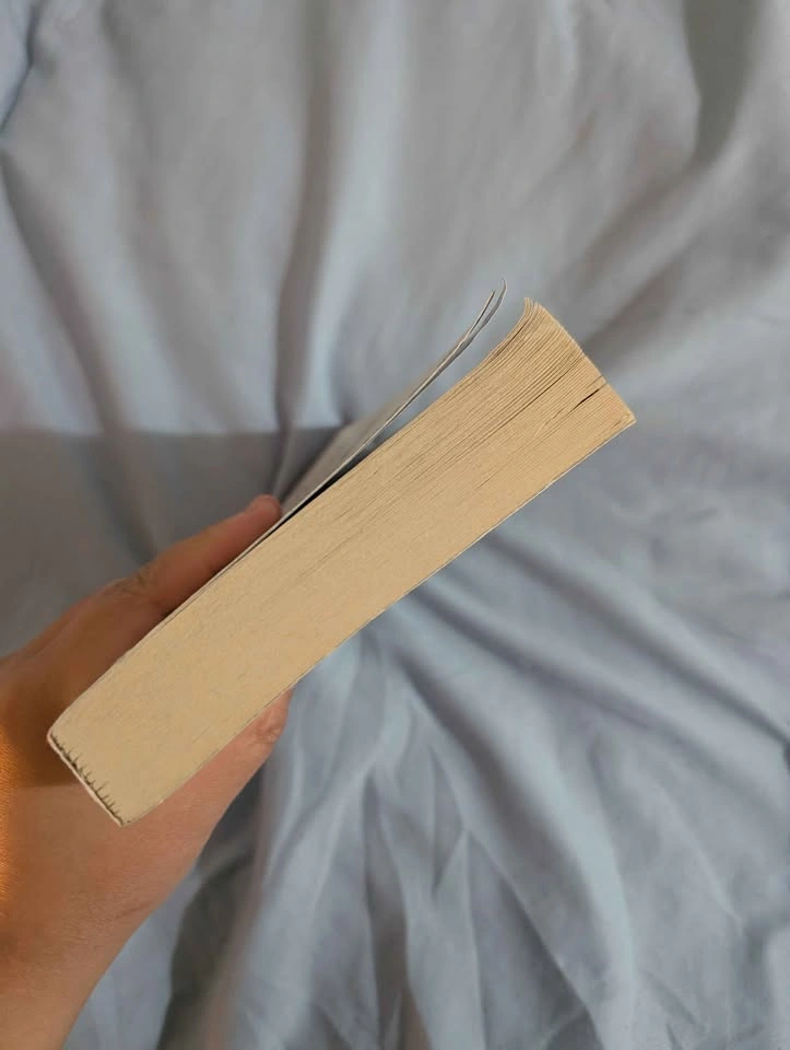 Between Shades of Gray book by Ruta Sepetys - photo 4