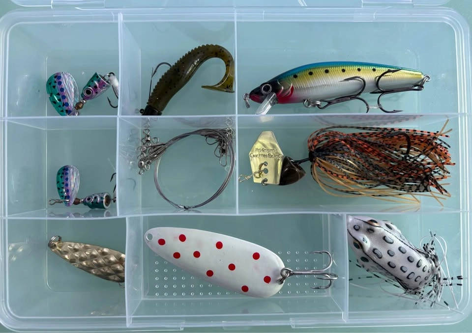 Fishing Lure Lot: ChatterBait, Crankbait, Spoons, Frog, Grub, Le - photo 2