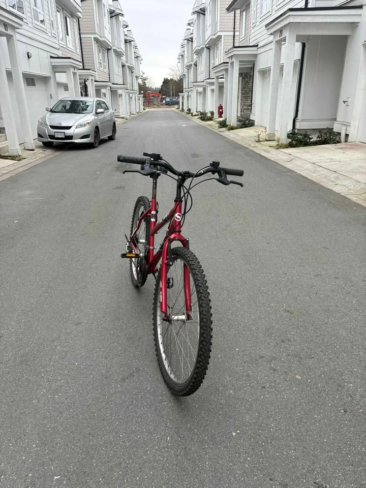 Supercycle Mountain Bike - photo 2