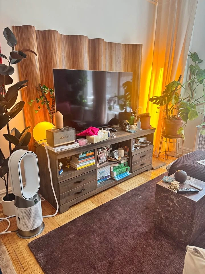 FREE TV Console Table