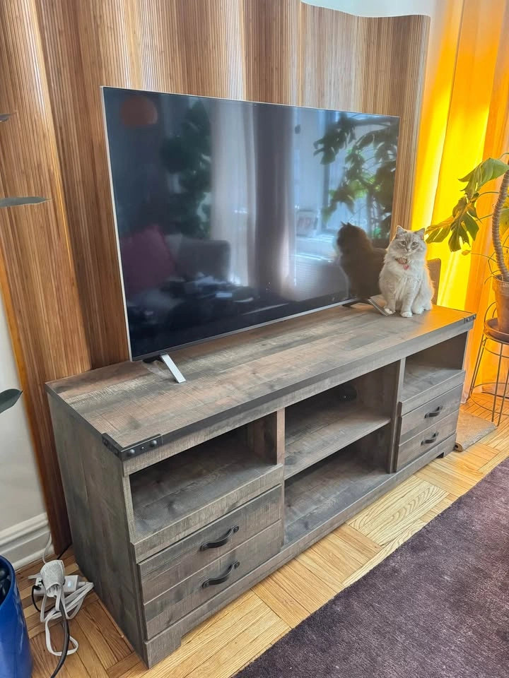 FREE TV Console Table - photo 3