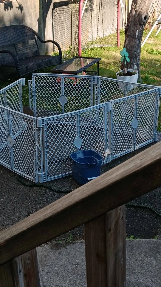 North States Superyard Baby XT Extensions Playpen - photo 3
