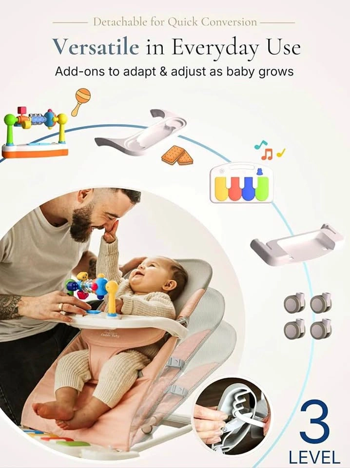 Baby Bouncer 4-in-1 on Wheels