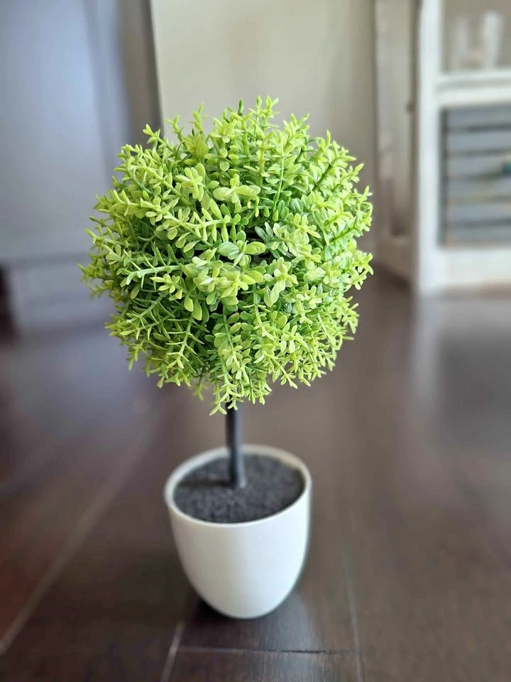 Mini Artificial Plant for Decoration Piece