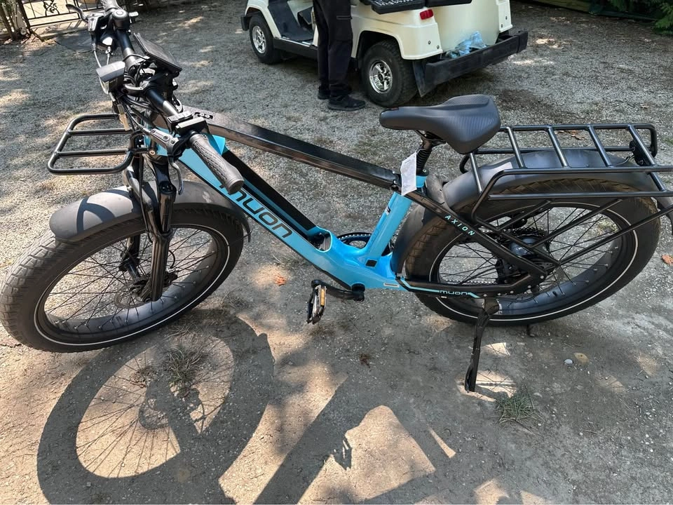 Muon Axion E-Bike - photo 3