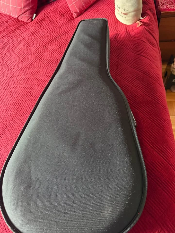 Road Runner Polyfoam Classical Guitar Case - photo 5