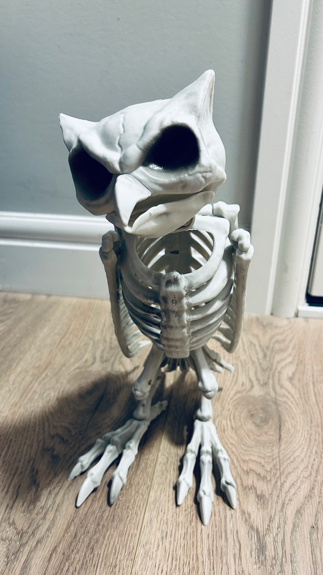 Halloween Skeleton Owl Decoration / Prop