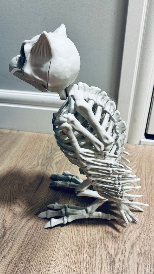 Halloween Skeleton Owl Decoration / Prop - photo 2