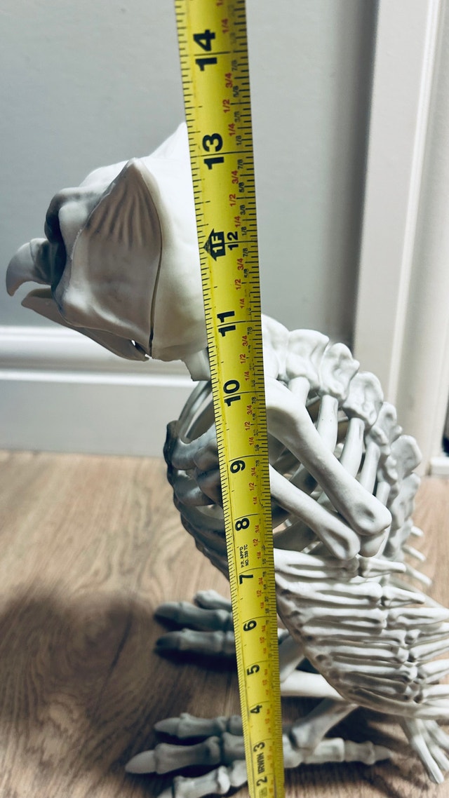 Halloween Skeleton Owl Decoration / Prop - photo 3