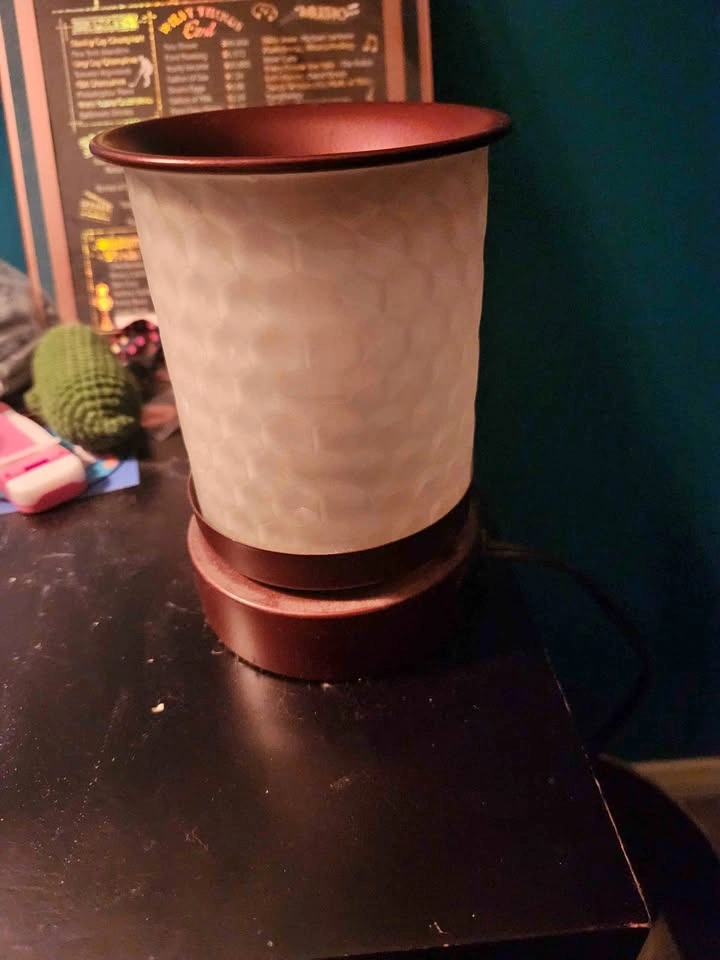 Electric wax warmer