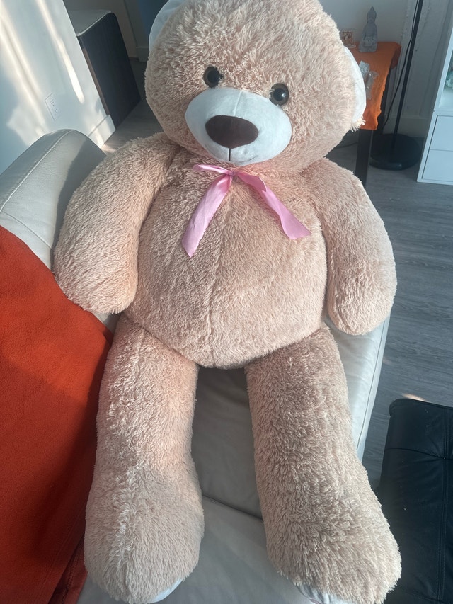 Large Teddy Bear