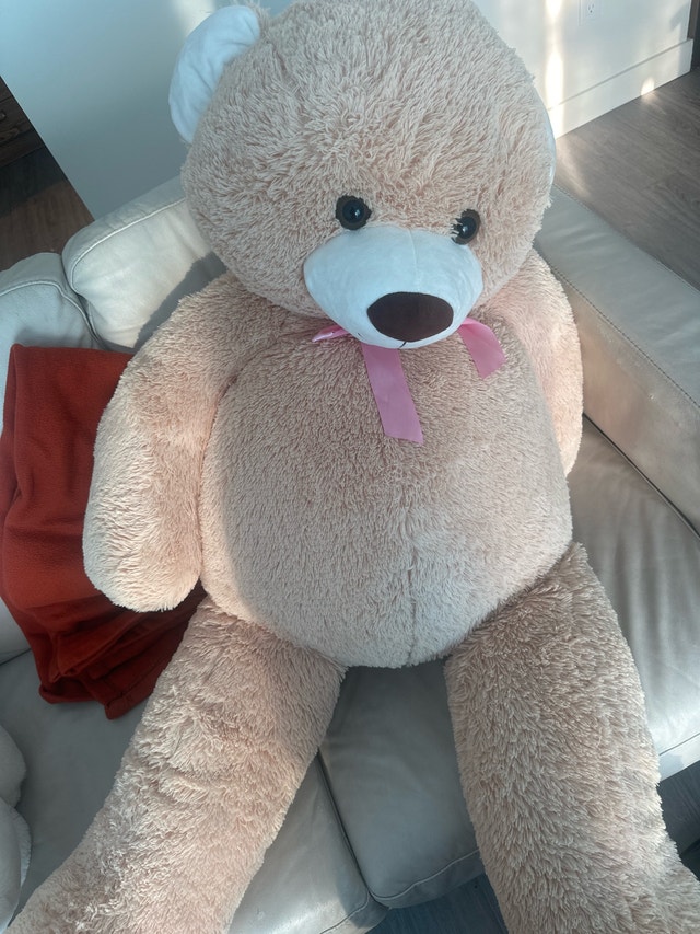 Large Teddy Bear - photo 3