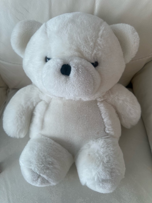 White Teddy Bear