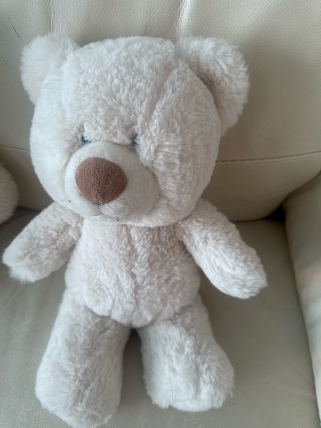 White Teddy Bear - photo 2