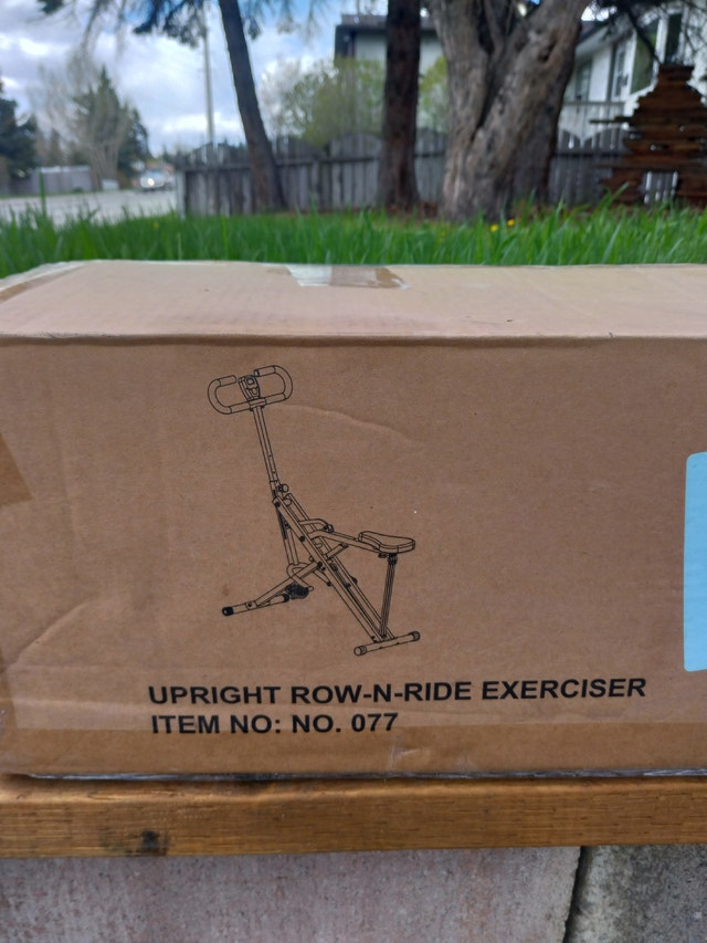 Sunny Health & Fitness Upright Row-N-Ride Exerciser