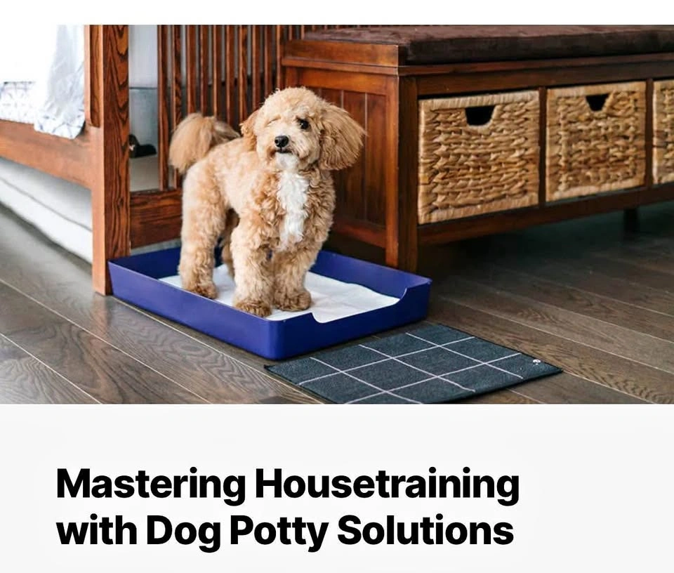 Doggy Bathroom Tray: Pee Pad Holder (Navy Blue)